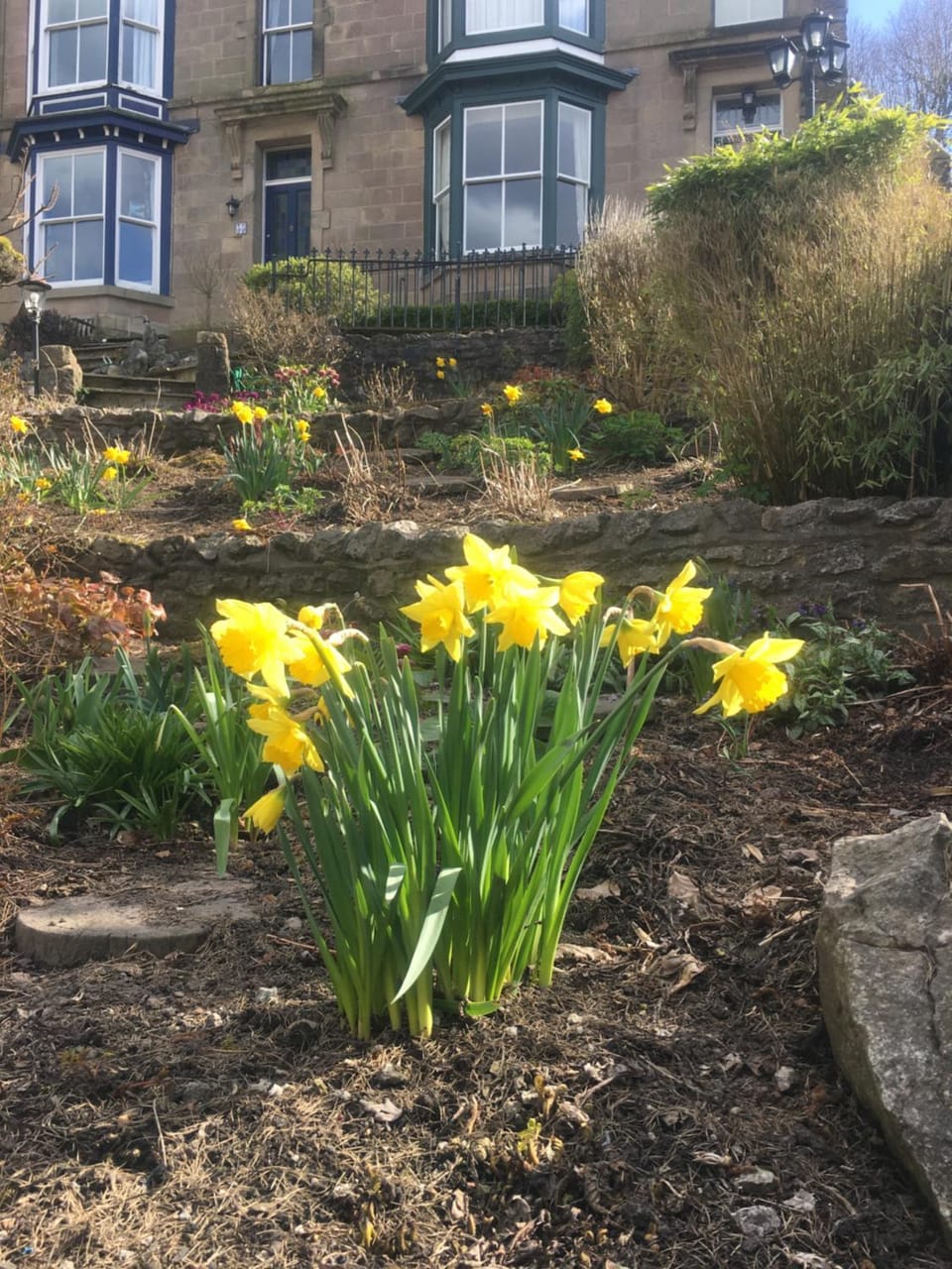 Property building, Spring, Garden, Garden view