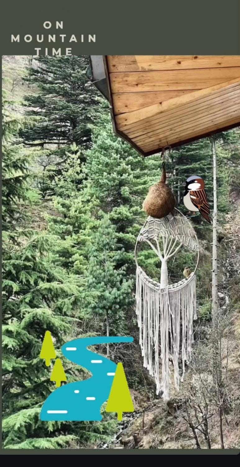 Absoulte Freedom Snowy Water Stream Luxury Cozy BnB Retreat Hotel in Himachal Pradesh