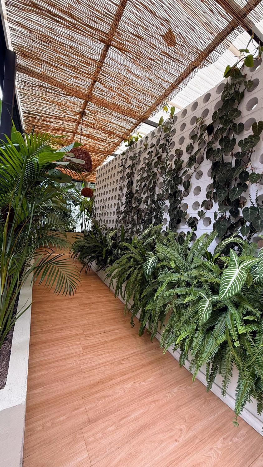 Day, Garden, Garden view