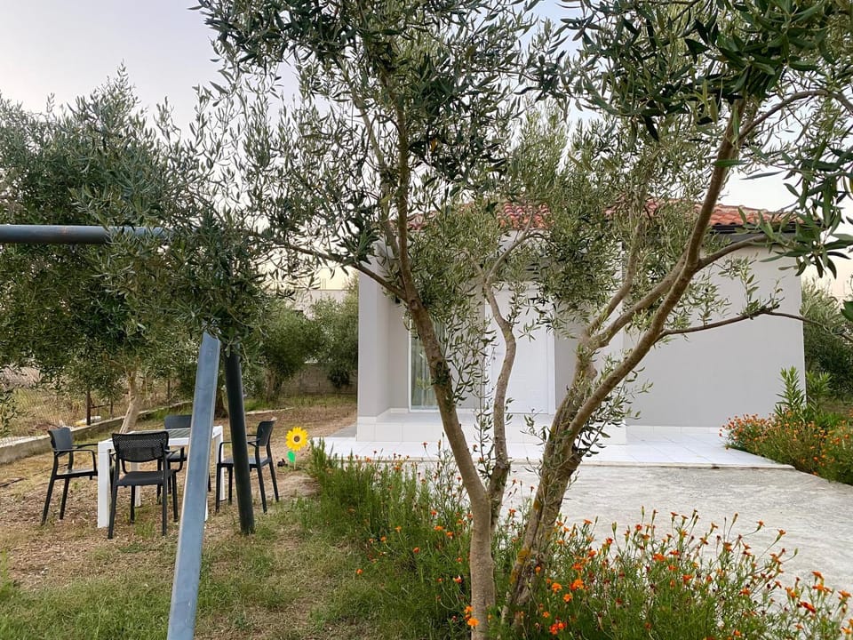 Patio, Spring, Day, Natural landscape, Garden, Garden view