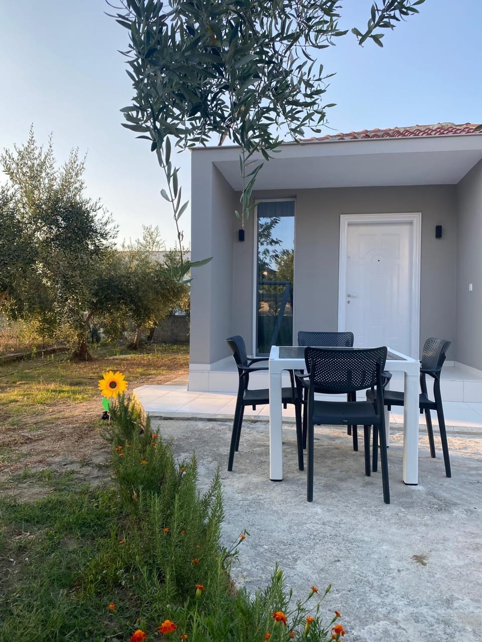 Property building, Patio, Spring, Day, Garden, Dining area, Garden view