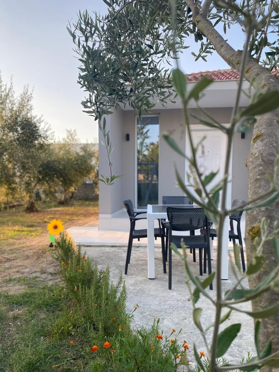 Property building, Patio, Spring, Day, Garden, Dining area, Garden view