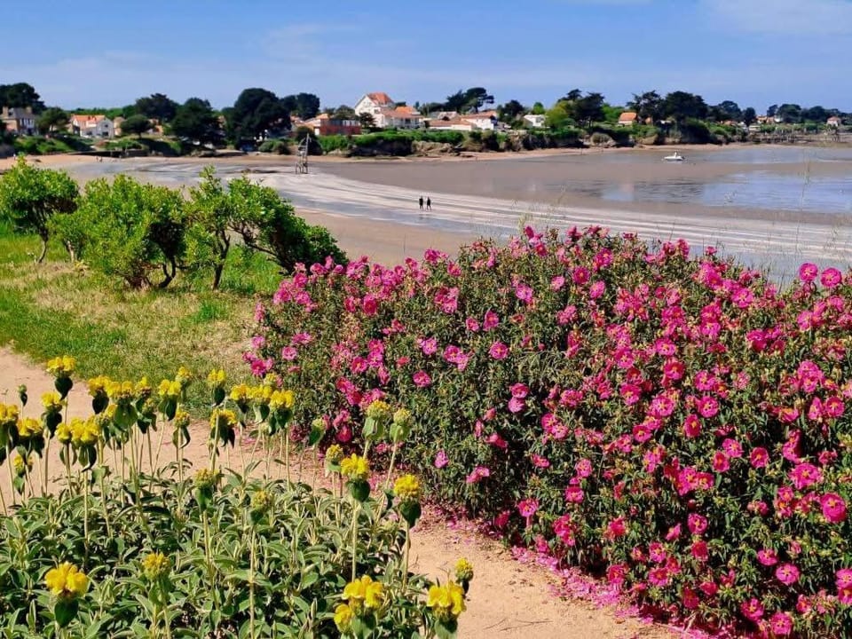 Maison avec jardin à 150 m de la plage House in La Plaine-sur-Mer