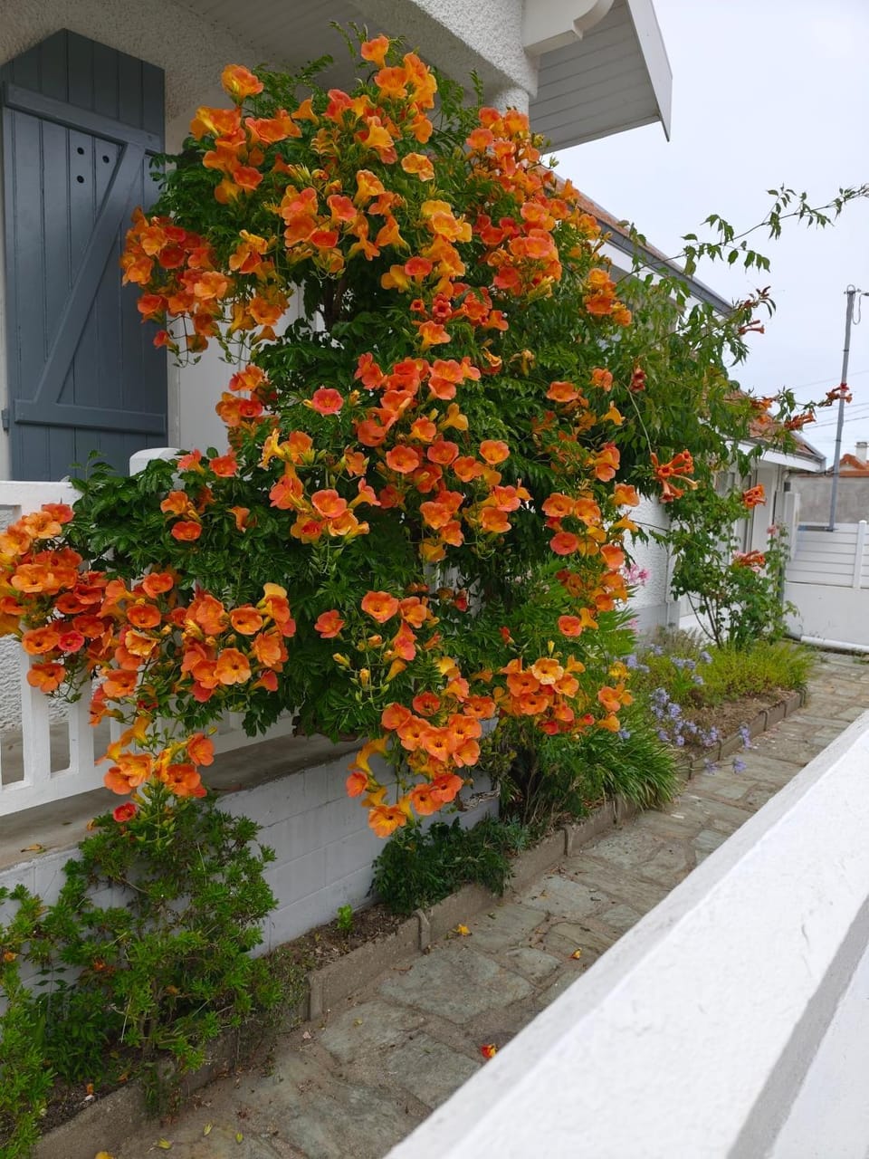 Maison avec jardin à 150 m de la plage House in La Plaine-sur-Mer