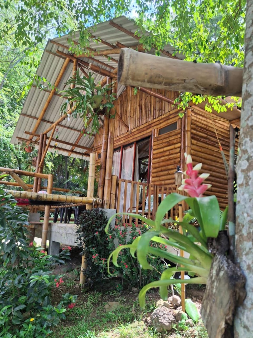 Cabaña el diviso Nature lodge in Tolima