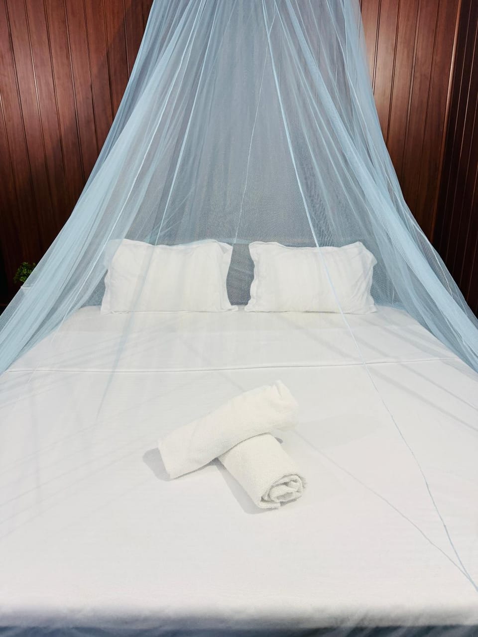 Dreamy Heaven Negombo Bed and Breakfast in Negombo