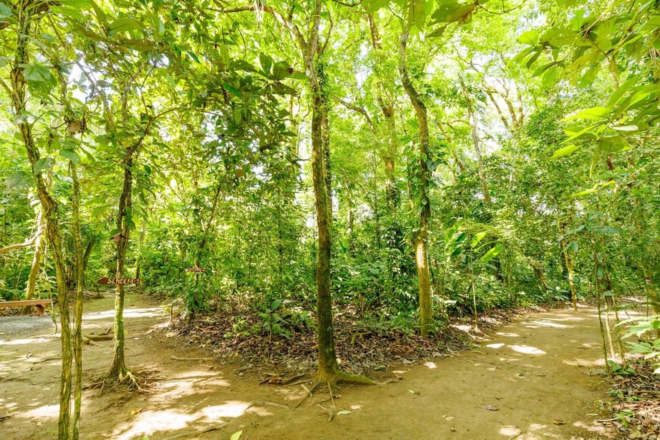 Day, Natural landscape, Garden, Hiking