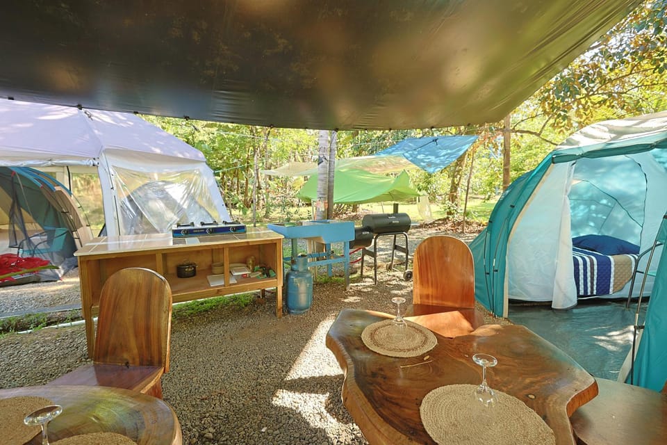 Patio, Day, Garden, Kitchen or kitchenette, Dining area