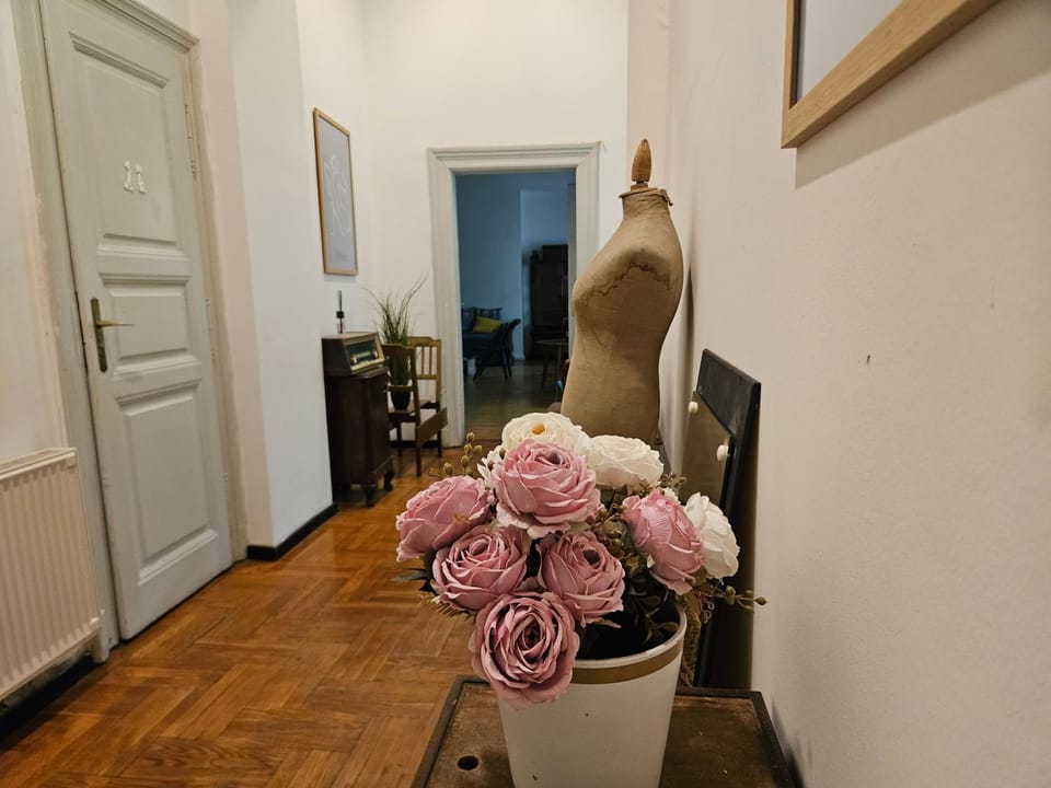 Vintage Heaven Oasis Hostel Hostel in Budapest
