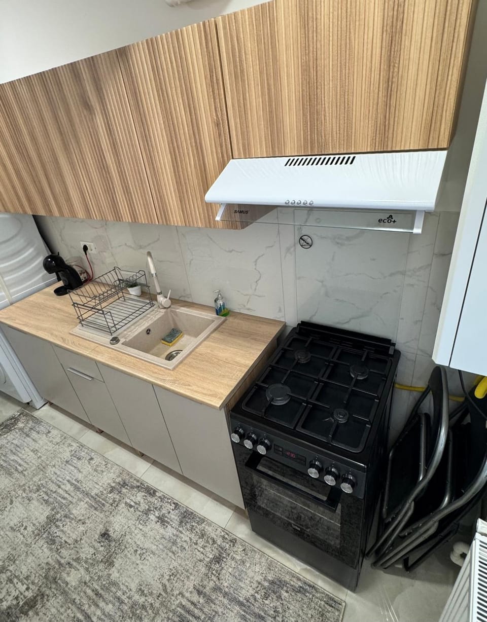 Studio Luca Apartment in Eforie Nord