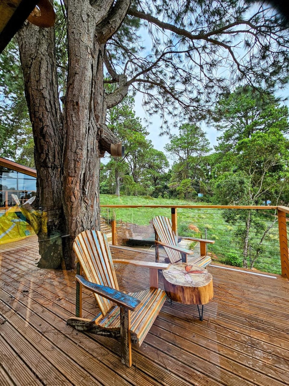 Garden view