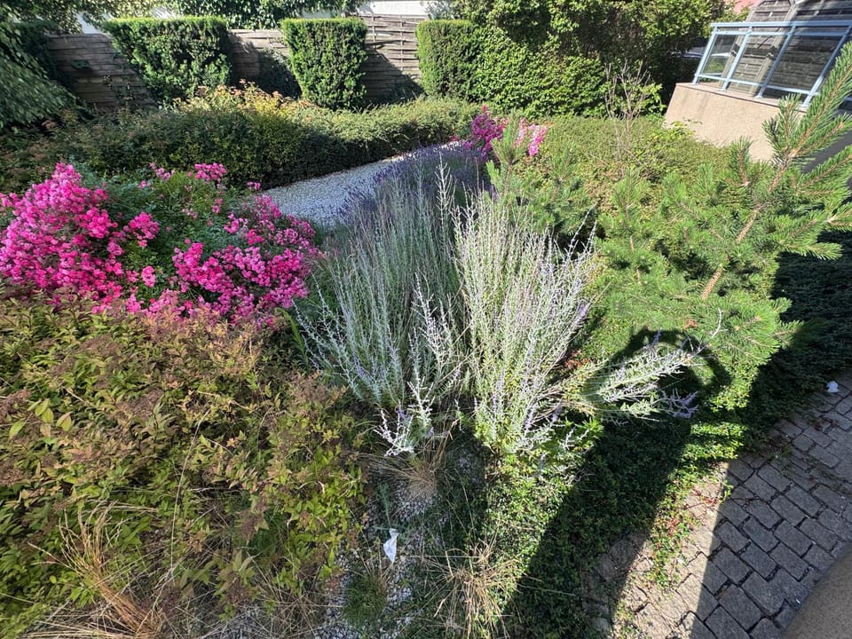 Day, Garden, Garden view