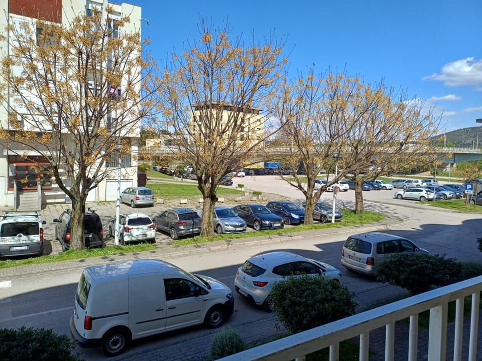 Day, Parking