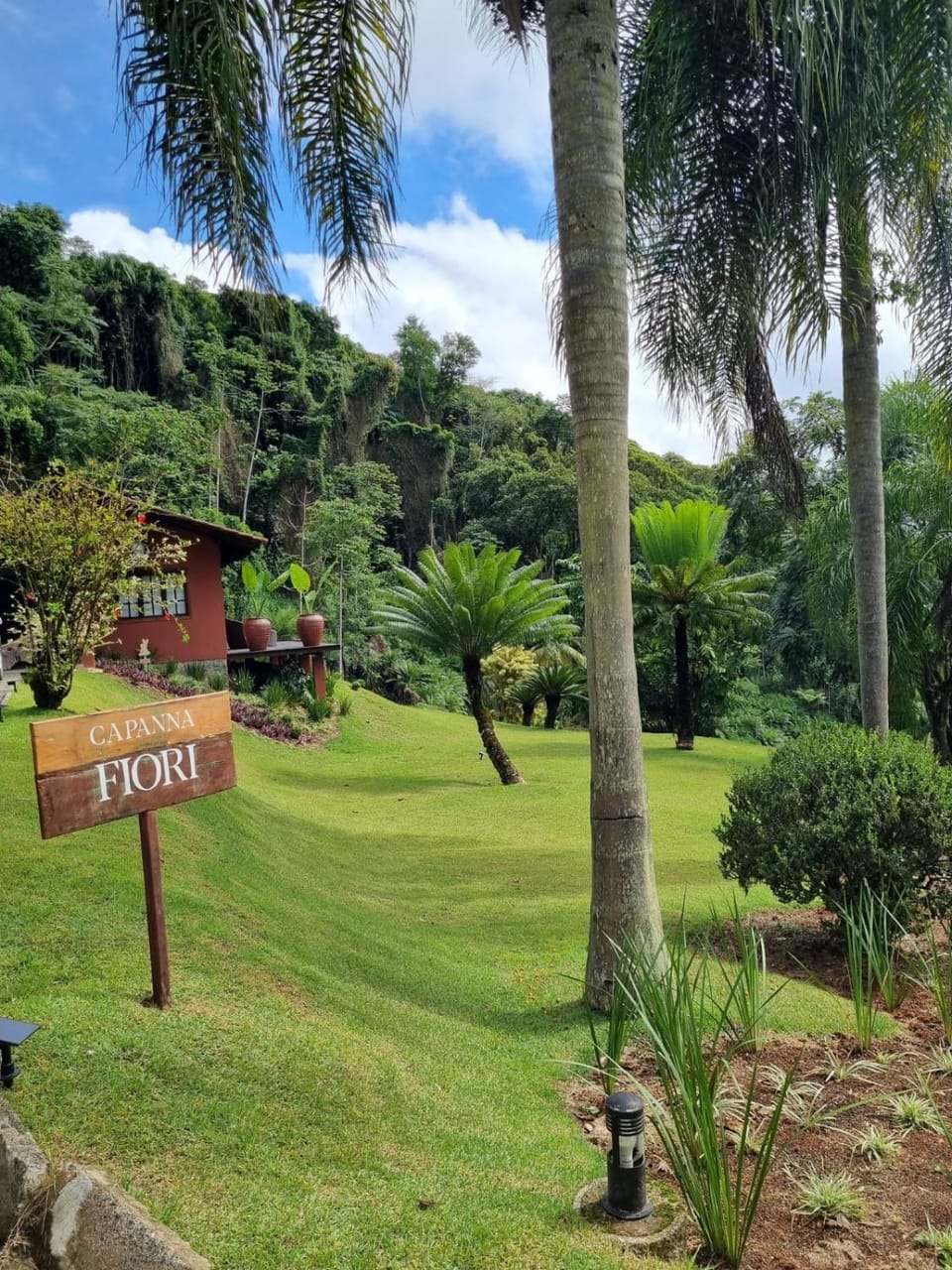 Natural landscape, Garden, Garden, Garden view