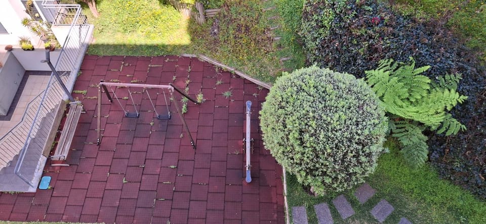 Day, Garden, Garden view