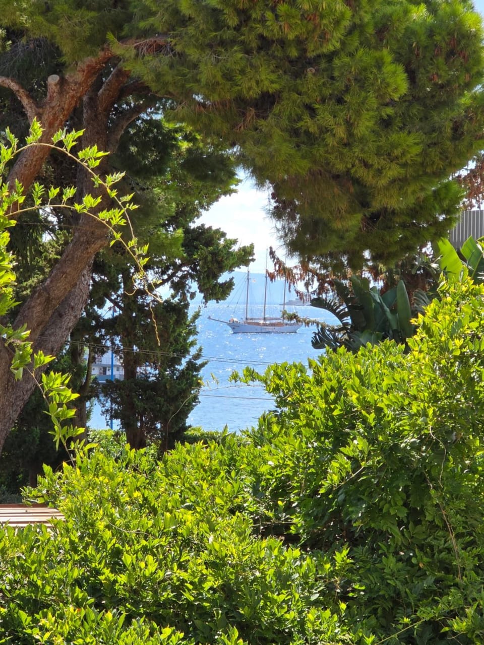 Natural landscape, Garden view, Sea view