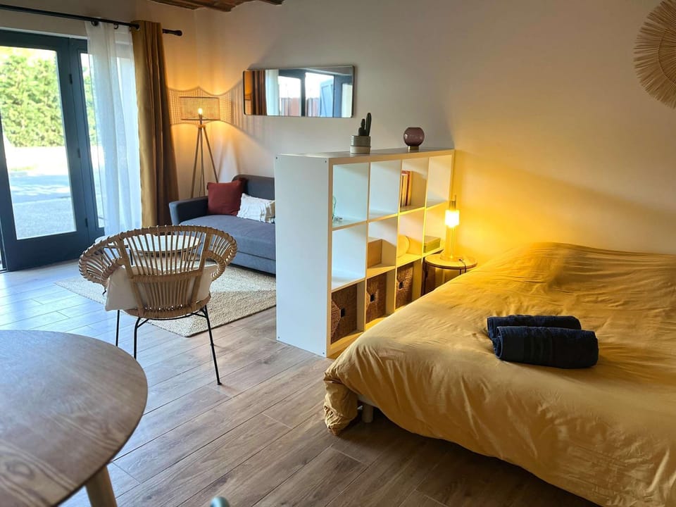 Bed, Living room, Photo of the whole room, Seating area, Bedroom