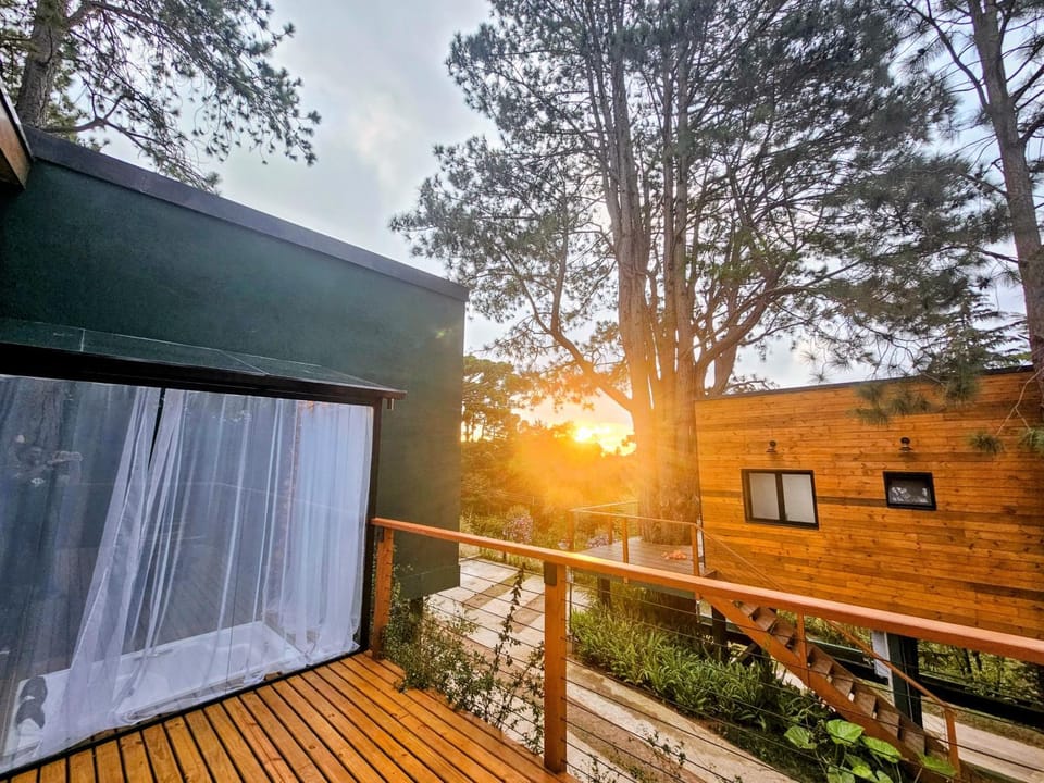 Balcony/Terrace, Sunset
