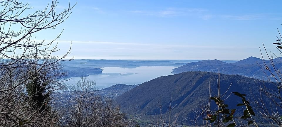 Lake view