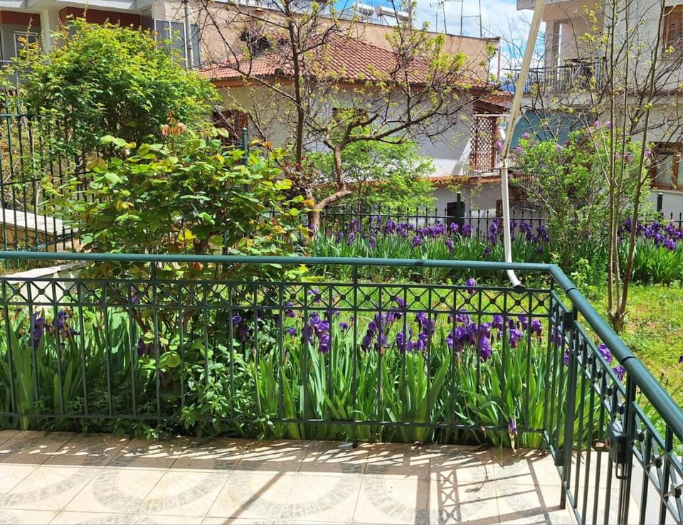 Ένα ήσυχο μέρος στο Χρίστο Σούλι Apartment in Ioannina