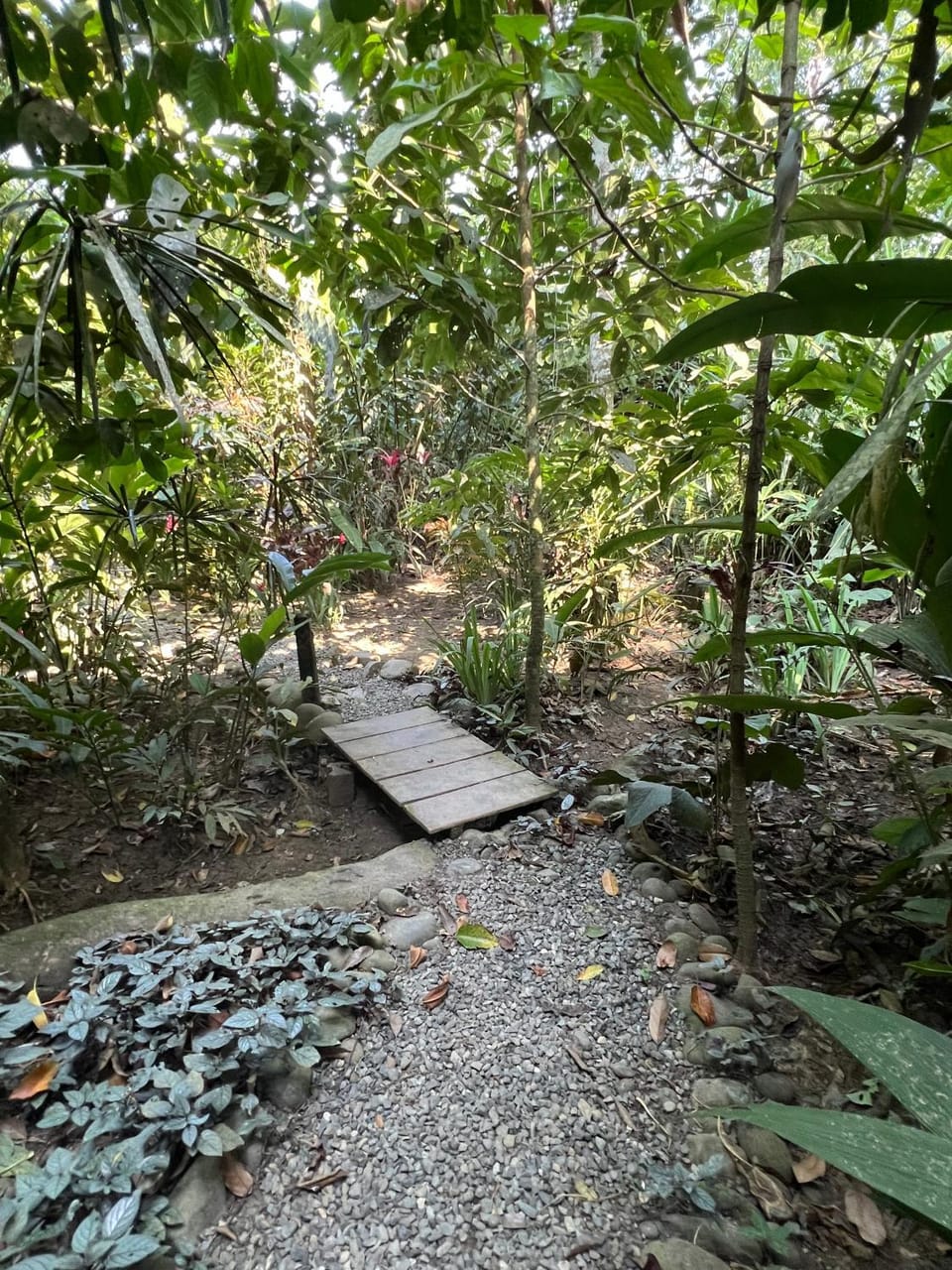 Natural landscape, Garden, Garden view