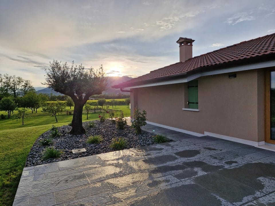 Natural landscape, Garden, Garden view, Sunset