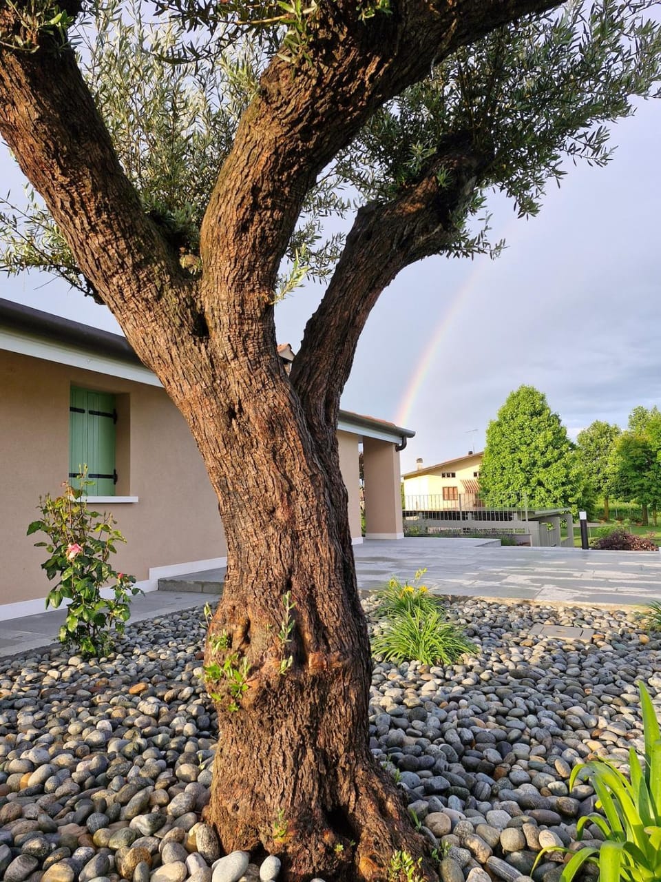 Property building, Garden view