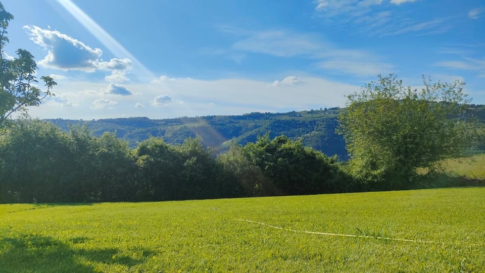 Natural landscape, Garden, View (from property/room)