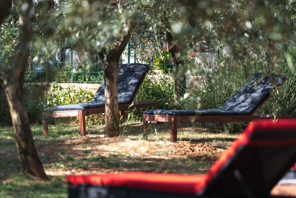 Natural landscape, Garden, Garden, On site, sunbed