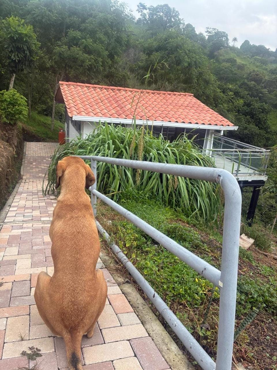 Entre Nubes House in Cundinamarca, Colombia