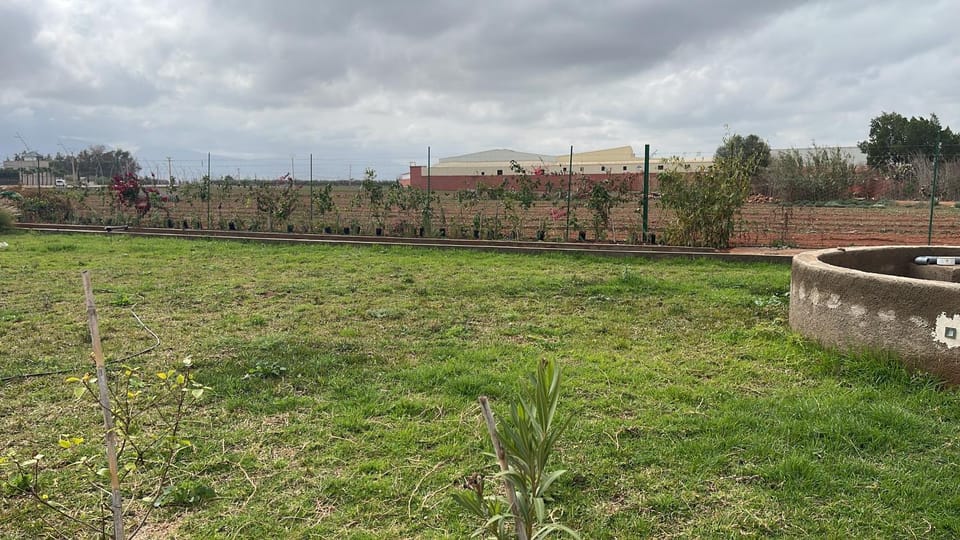 Palmera dar Zahra Apartment hotel in Morocco