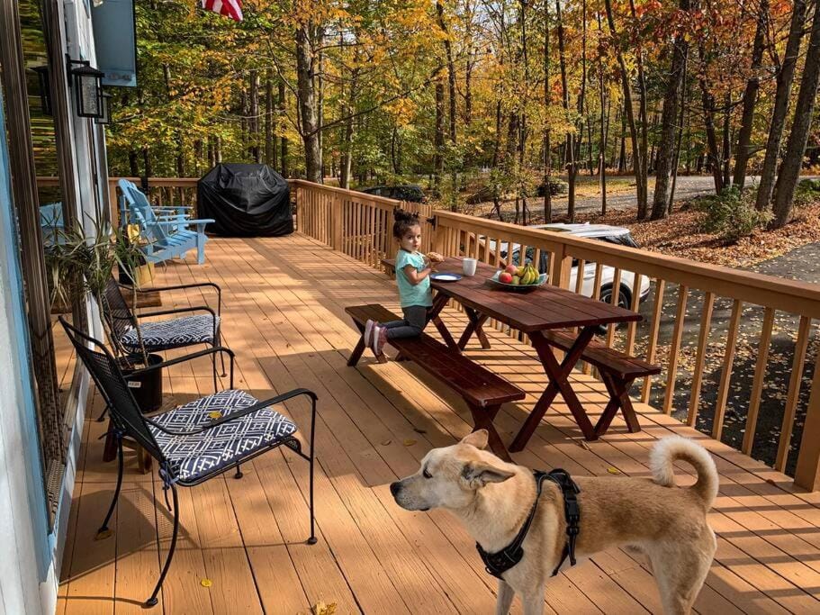 Villa MiaNova A Modern Hideout in the Woods Chalet in Lake Wallenpaupack