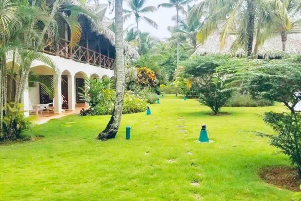 Garden, Garden view
