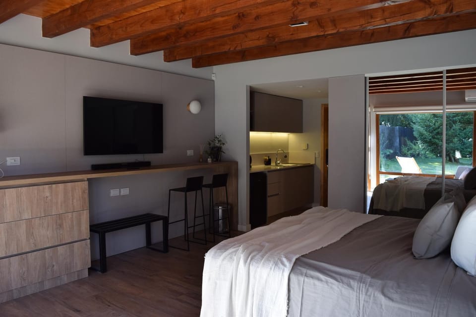 Bed, TV and multimedia, Kitchen or kitchenette, Photo of the whole room, Bedroom