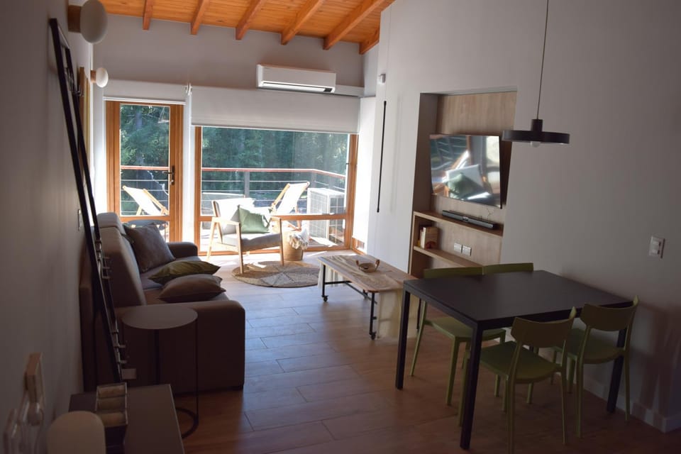 TV and multimedia, Balcony/Terrace, Living room, Dining area, air conditioner