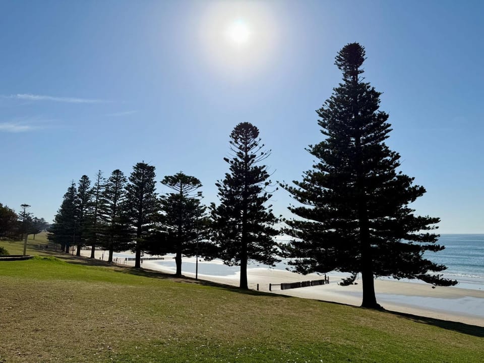 Beach Shack Apartment in Torquay