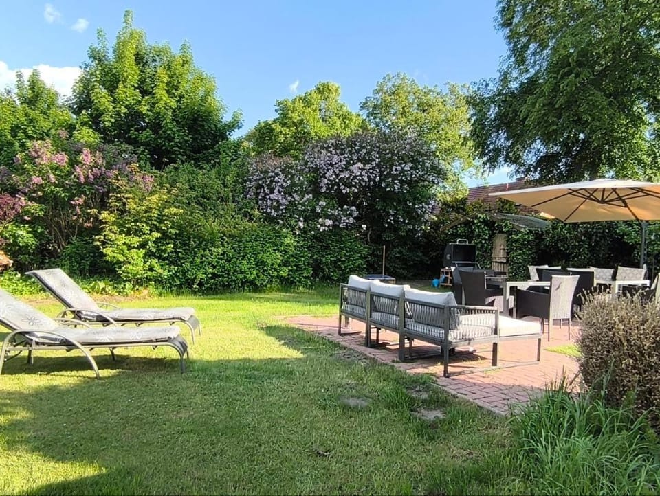Patio, Garden, Seating area, sunbed