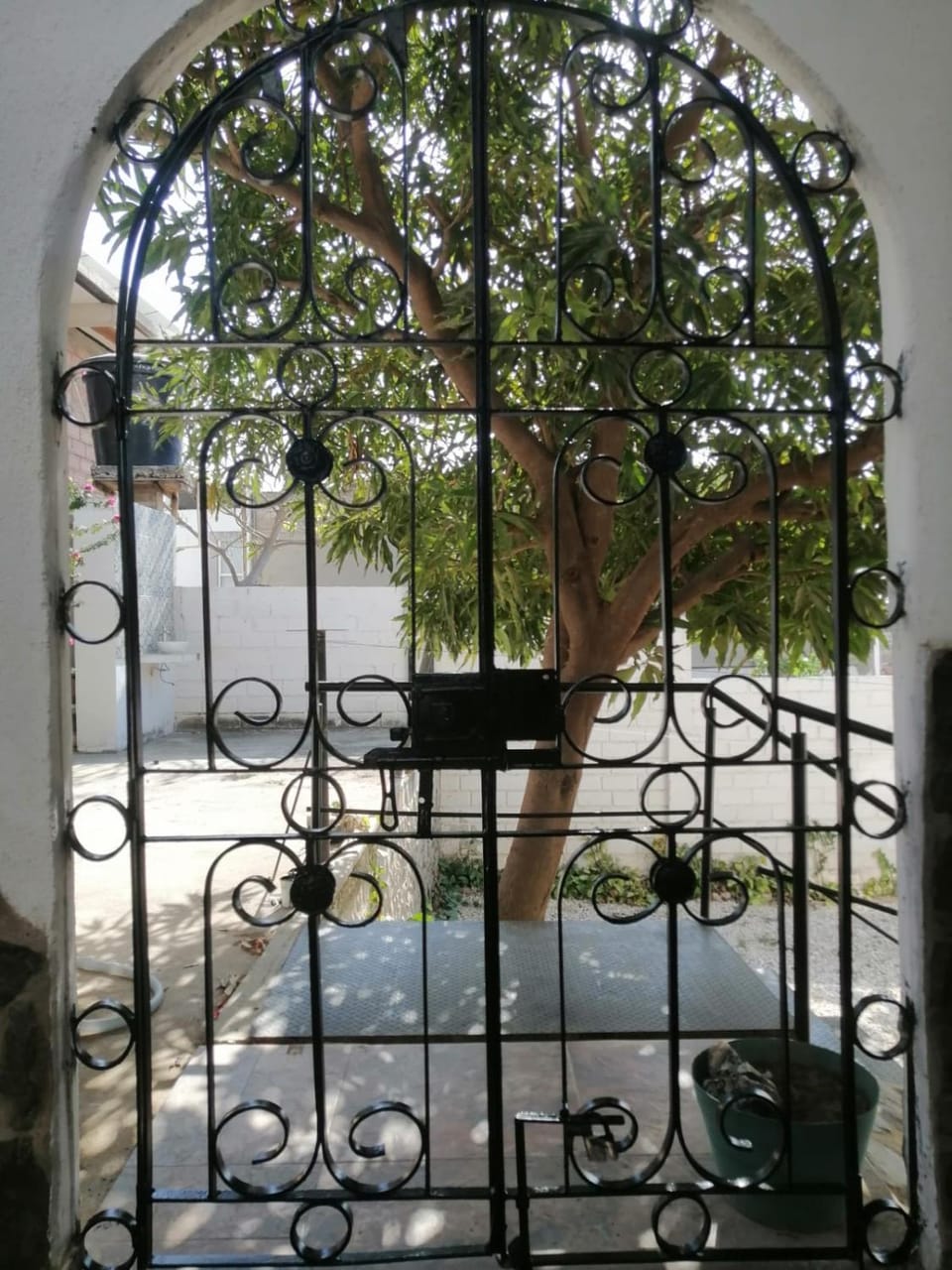 Patio, Garden view