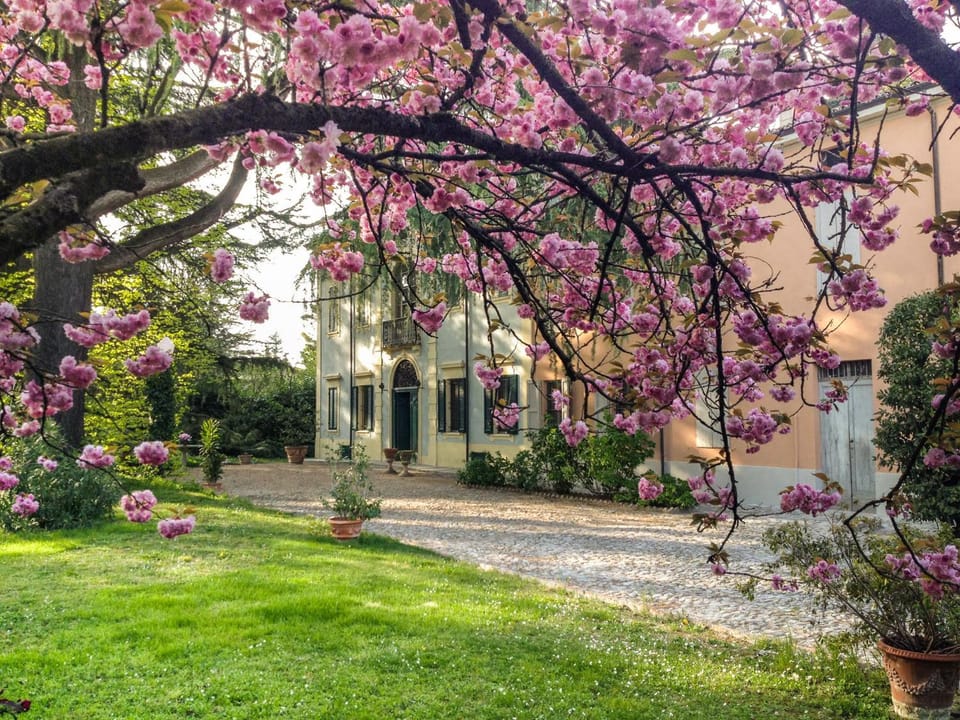 Property building, Spring, Garden, Garden view