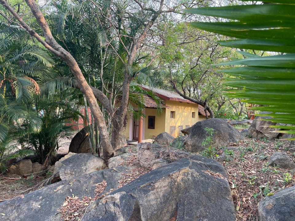 Property building, Garden, Garden view