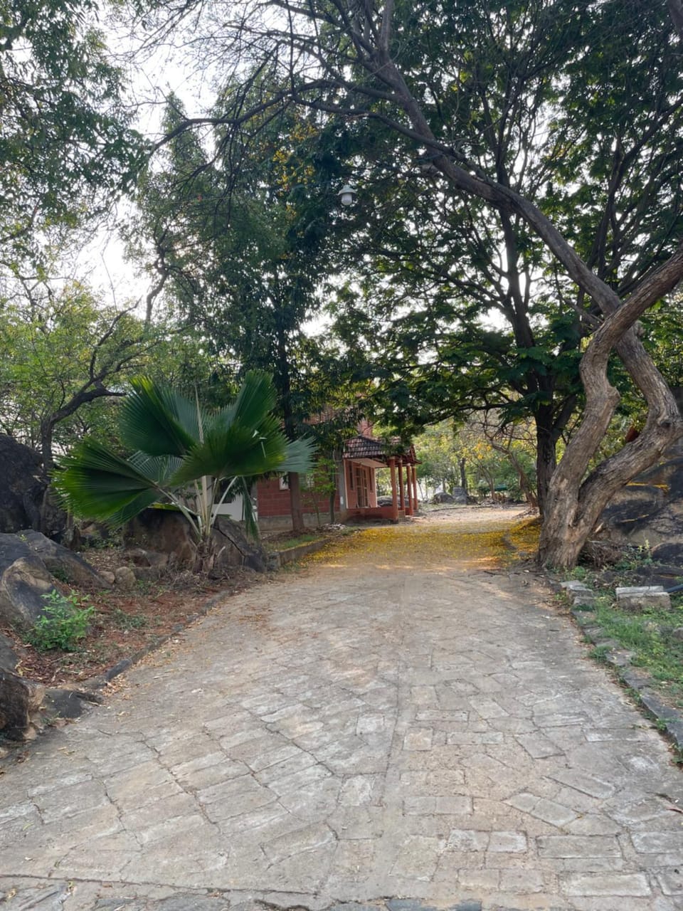 Natural landscape, Garden, Garden view