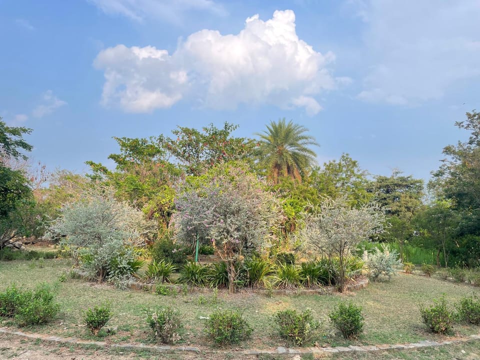 Natural landscape, Garden, Garden view
