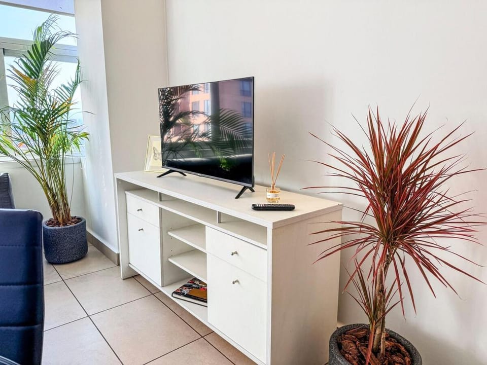 TV and multimedia