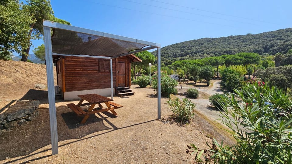 Day, Natural landscape, Garden, Dining area, Garden view, Mountain view