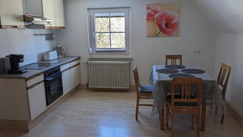 Kitchen or kitchenette, Dining area, oven, stove