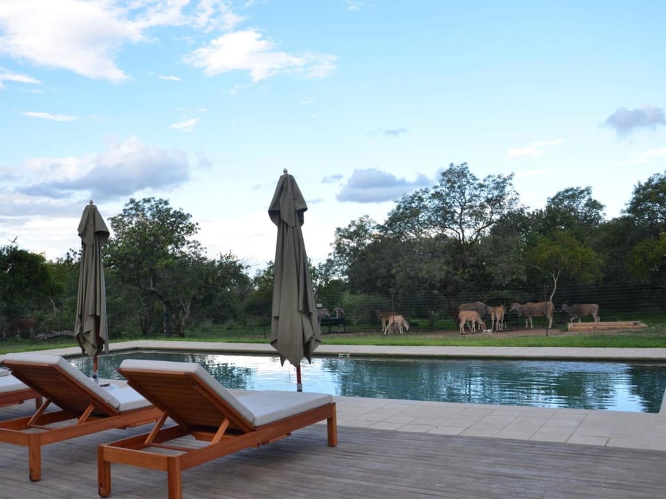 Pool view