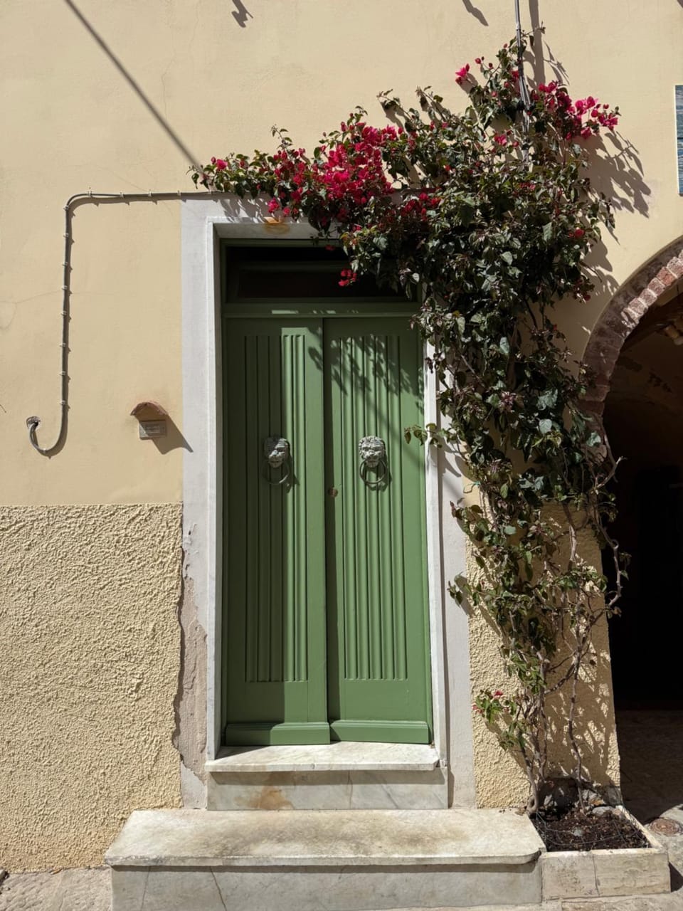 Green House Apartment in Capoliveri