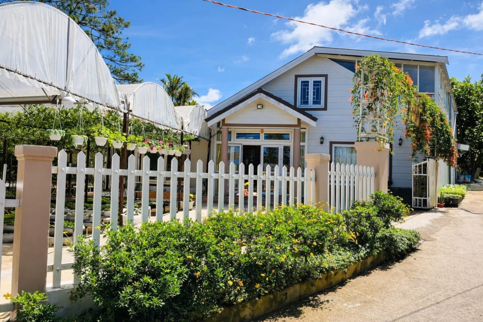 Property building, Day