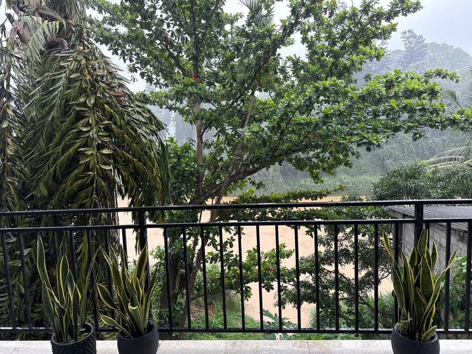 View (from property/room)