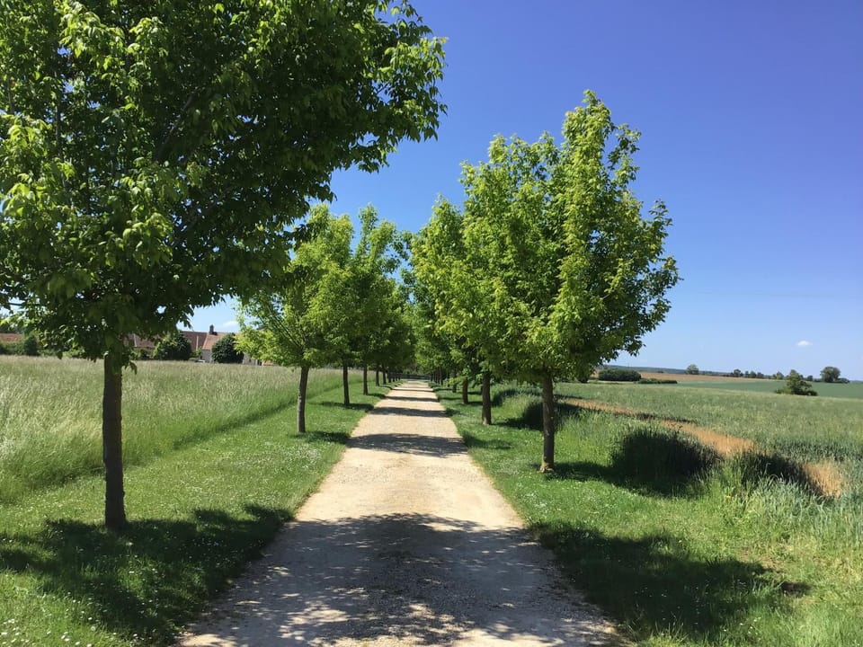 Fermette berrichonne House in Centre-Val de Loire